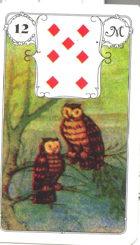 12 - PTÁCI.jpg