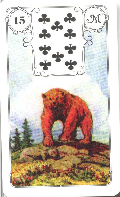 15 - MEDVĚD.jpg
