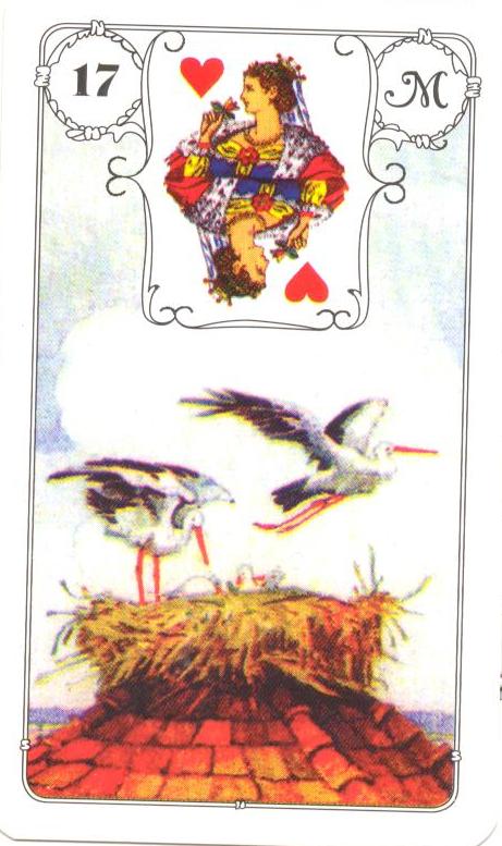 17 - ČÁP.jpg